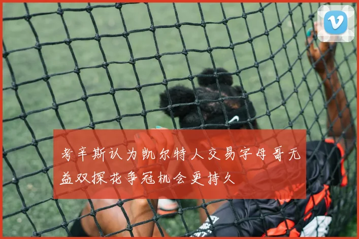 考辛斯认为凯尔特人交易字母哥无益双探花争冠机会更持久