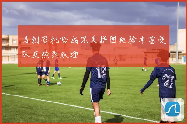 马刺签托哈成完美拼图经验丰富受队友热烈欢迎